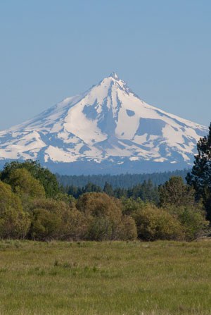 Mt. Jefferson from Indian Ford Meadow Preserve. Photo: Gary Miller.
