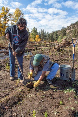 Members of the Confederated Tribes of Warm Springs help with restoration plantings at Whychus Canyon Preserve. Photo: Jay Mather.