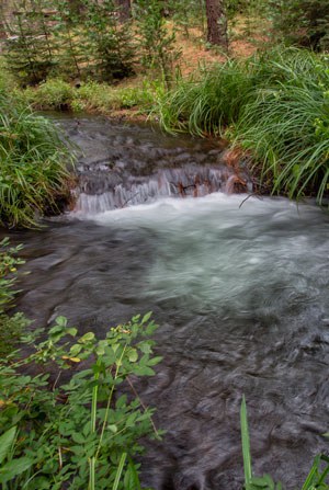 The South Fork of Lake Creek. Photo: Jay Mather.