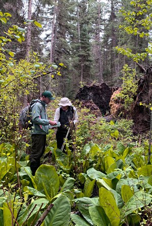 Land Trust staff take inventory of plant species at the Metolius River Preserve. Photo: Land Trust.