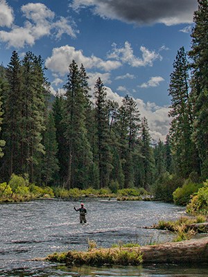 Fishing is a favorite pastime on the Metolius River. Photo: Jay Mather.