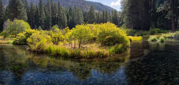 An island in the Metolius River at the Land Trust's Metolius River Preserve. Photo: Jay Mather.