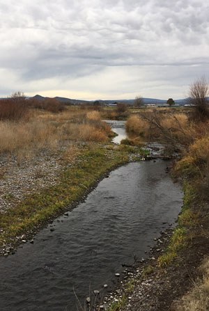 McKay Creek at Ochoco Preserve. Photo: Land Trust.