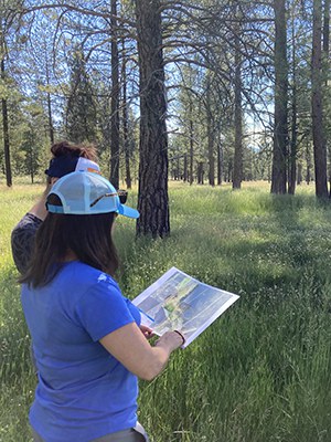 Land Trust staff discuss restoration options at Paulina Creek Preserve. Photo: Land Trust.