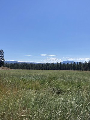 Newberry Caldera has been an important place for Native Americans since time immemorial. Photo: Land Trust.