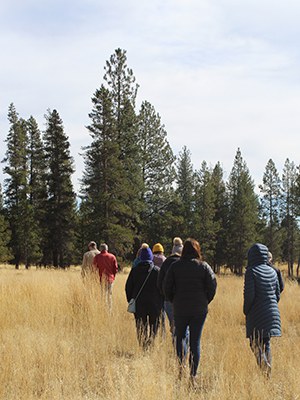 The Land Trust is working to develop trails and access points for Paulina Creek Preserve. Photo: Land Trust.
