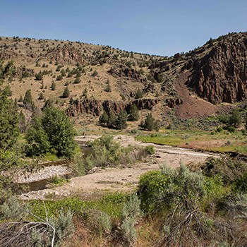 Priday Ranch has a high level of topographic diversity. Photo: Ryder Redfield.