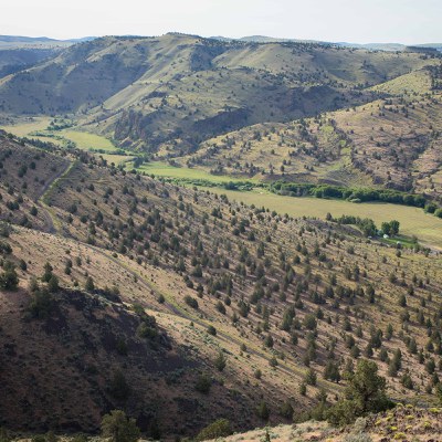 Priday Ranch. Photo: Ryder Redfield.