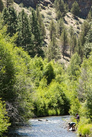 Whychus Creek at Rimrock Ranch. Photo: John Williams.