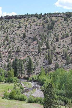 Whychus Creek at Rimrock Ranch. Photo: Land Trust.