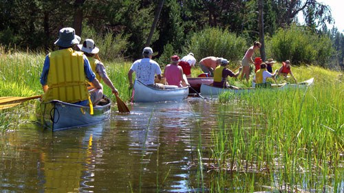 Paddlers explore Thomas Preserve. Photo: Dave Breuer.