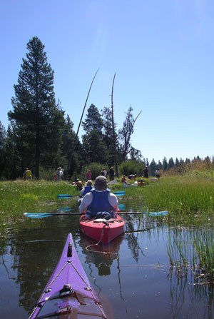 Paddlers explore Thomas Preserve. Photo: Land Trust.