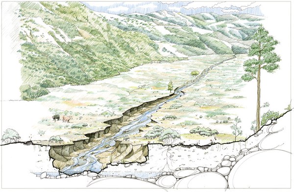 A straightened stream leads to depleted groundwater levels and creates an unhealthy meadow. Drawing: Restoration Design Group.