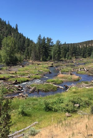 Whychus Creek after being restored. Photo: Land Trust.