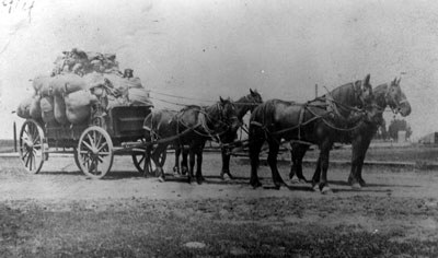 Hauling wool circa 1910. Photo: Bowman Museum.