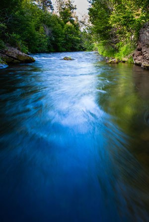 Whychus Creek. Photo: Tyler Roemer.