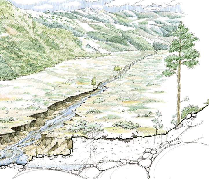 An unhealthy meadow where groundwater has dropped so low, no plants can grow. Drawing: Restoration Design Group.