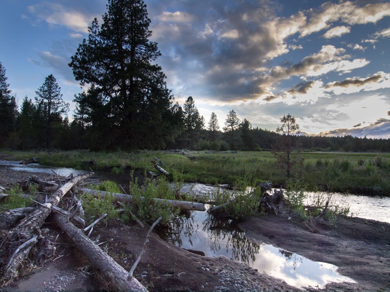 Whychus Creek at Camp Polk Meadow Preserve. Photo: Tim Cotter.