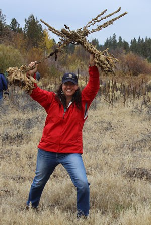 Waging war on the weeds at Willow Springs Preserve. Photo: Land Trust.