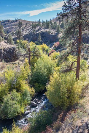 Whychus Creek at Alder Springs. Photo: Randy Tomer.