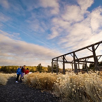 Visitors read an interpretive sign at Camp Polk Meadow Preserve. Photo: Dennis Jones.