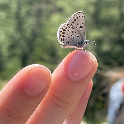 The small things make a big difference. Photo: Land Trust.