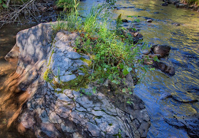 Fun features of Willow Springs Preserve