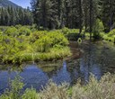 Metolius River Preserve Virtual Tour