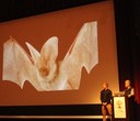 Nature Night Recap: The Beauty of Bats with Tom Rodhouse and Michael Durham