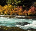 The Metolius: A River Like No Other