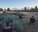 The Calming Power of Nature