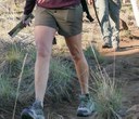 Ticks in Central Oregon