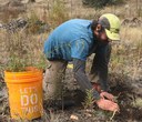 Changing Habits to Combat Climate Change Changing Habits to Combat Climate Change