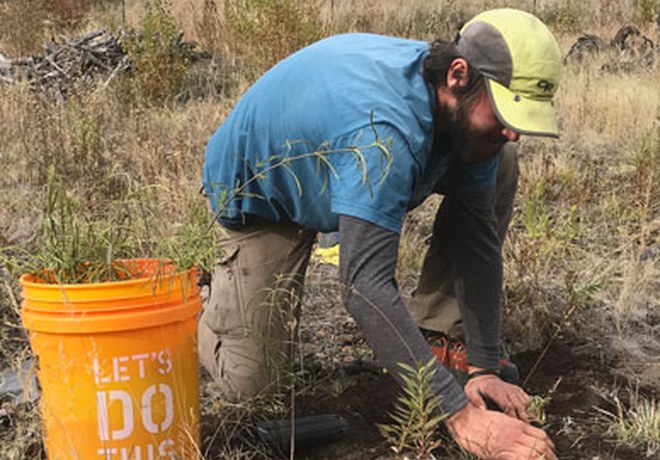 Changing Habits to Combat Climate Change