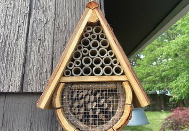 Create a Bee Home For Your Yard