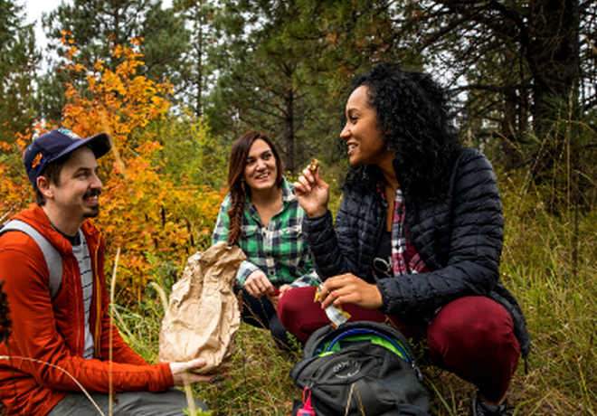 Guide to the Perfect Picnic