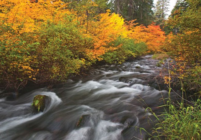 A Photo Retrospective, Conserving Central Oregon