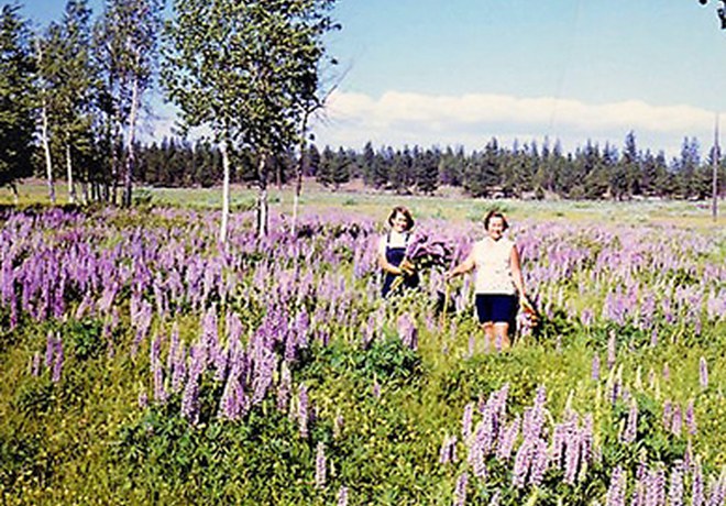 Memories of Indian Ford Meadow