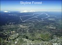 The Story of Skyline Forest