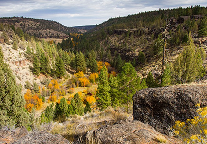 The Story of Whychus Canyon Preserve
