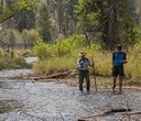 Looking at the Whychus Creek Restoration: Four Years Later