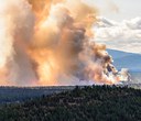 Wildfires + Climate Action
