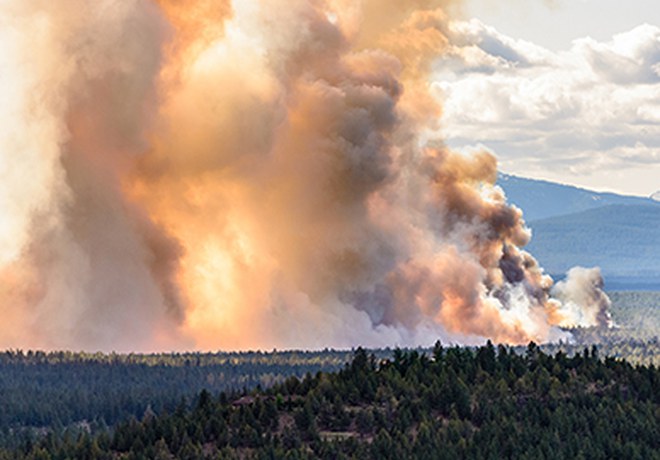 Wildfires + Climate Action