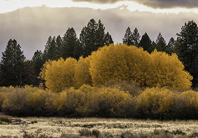 Fall Colors at Land Trust Preserves