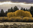 Fall Colors at Land Trust Preserves