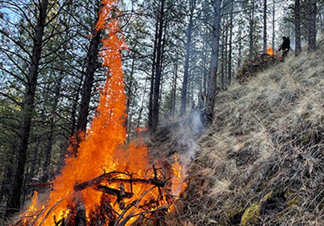 Pile Burning 101