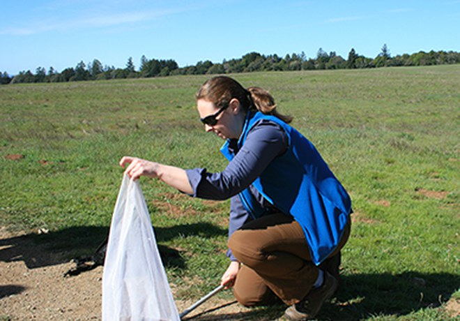 International Day of Women and Girls in Science: Tara Cornelisse