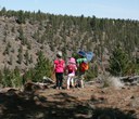 Tips for hiking with kids