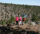 Tips for hiking with kids