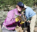 Weeding for Wellness